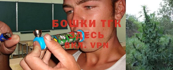 гидра Балахна