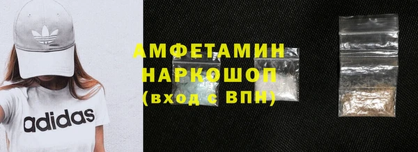 индика Богданович